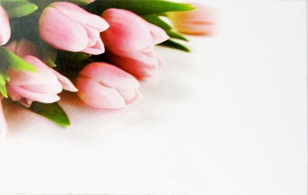 Picture of Florist Gift Cards Small Tulip x 50pcs